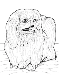 dogs coloring pages - page 81