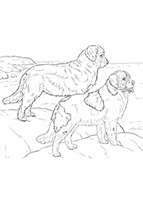 dogs coloring pages - page 9