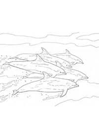 dolphin coloring pages - Page 21