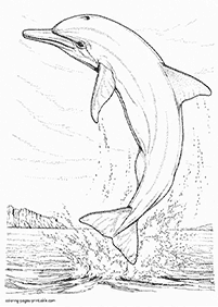 dolphin coloring pages - page 53
