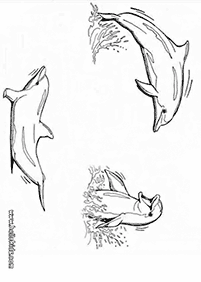 dolphin coloring pages - page 74