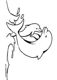 dolphin coloring pages - page 82