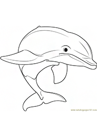 dolphin coloring pages - page 85