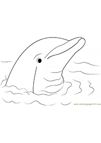 dolphin coloring pages - page 86