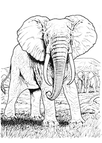 elephant coloring pages - page 17