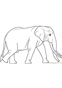elephant coloring pages - page 63