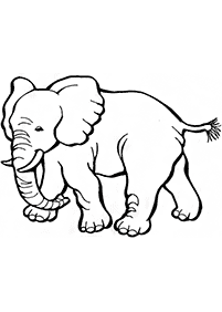 elephant coloring pages - page 65