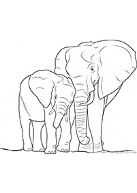 elephant coloring pages - page 79