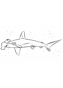 fish coloring pages - page 41