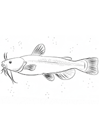 fish coloring pages - page 49