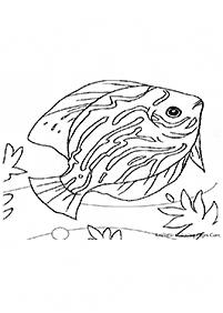 fish coloring pages - page 50