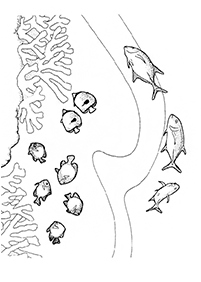 fish coloring pages - page 56