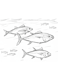 fish coloring pages - page 57