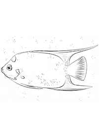 fish coloring pages - page 65