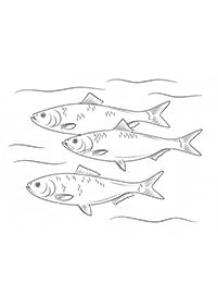 fish coloring pages - page 67