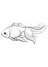 fish coloring pages - page 69