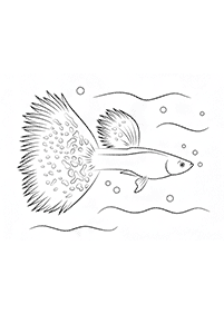 fish coloring pages - page 71