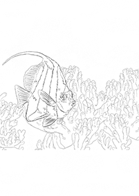 fish coloring pages - page 73