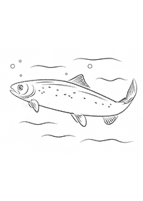 fish coloring pages - page 79
