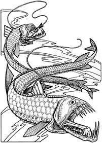 fish coloring pages - page 81