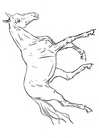 horse coloring pages - page 14
