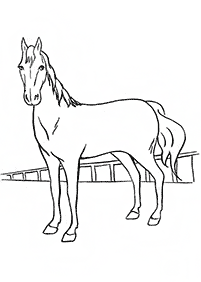 horse coloring pages - Page 22