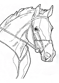 horse coloring pages - page 40