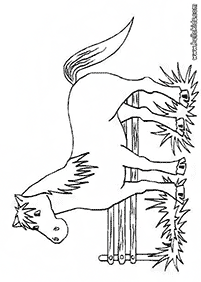 horse coloring pages - page 59