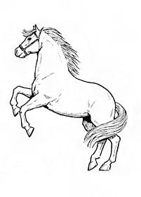 horse coloring pages - page 60