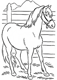 horse coloring pages - page 73