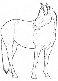 horse coloring pages - page 76