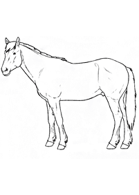 horse coloring pages - page 80