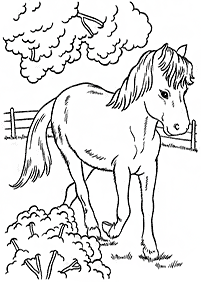 horse coloring pages - page 81