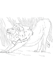 lion coloring pages - page 13