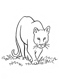 lion coloring pages - page 14