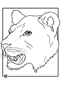 lion coloring pages - page 32