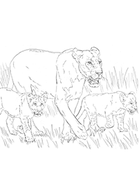 lion coloring pages - page 37