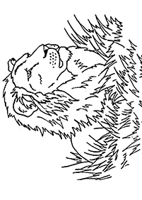 lion coloring pages - page 43