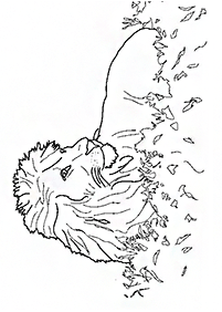 lion coloring pages - page 76