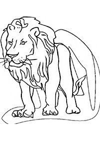 lion coloring pages - page 87