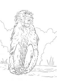 monkey coloring pages - page 13