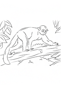 monkey coloring pages - page 17