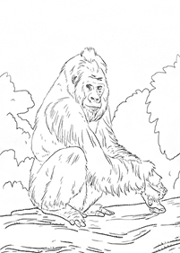 monkey coloring pages - page 37