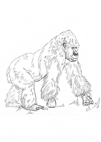monkey coloring pages - page 41