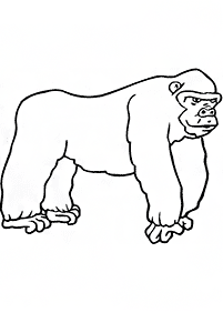monkey coloring pages - page 45