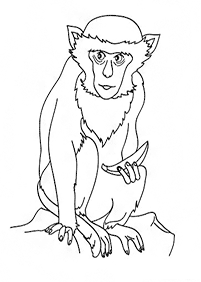 monkey coloring pages - page 46