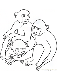 monkey coloring pages - page 75