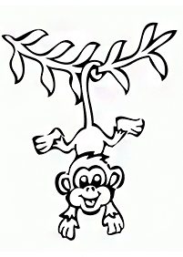 monkey coloring pages - page 79