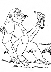monkey coloring pages - page 88