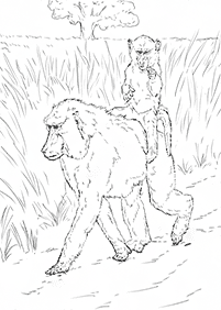 monkey coloring pages - page 9